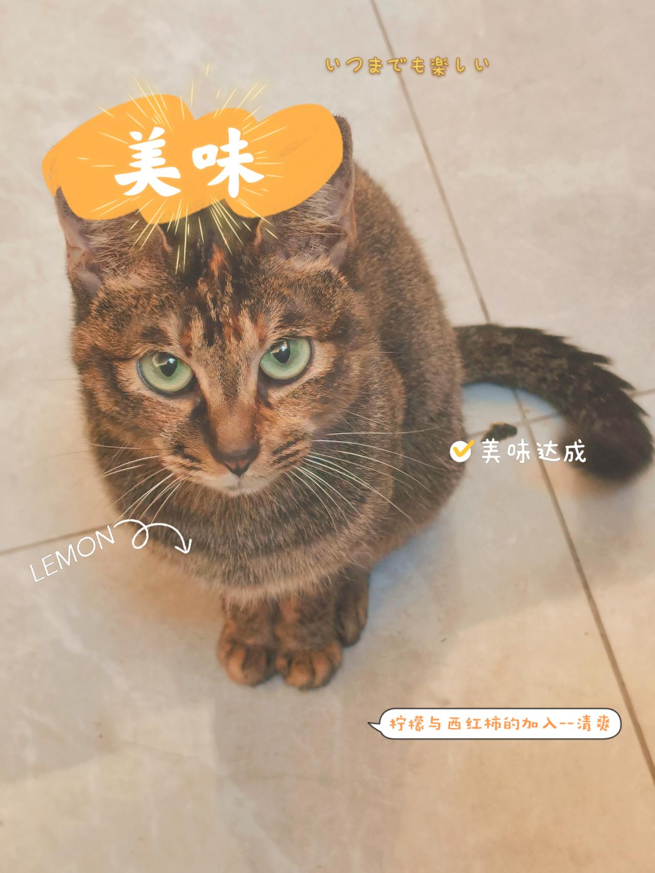 比亚迪汉DM 有没有一起等汉dmi的朋友，听说要明年第二季度上市………好漫长的等待呀