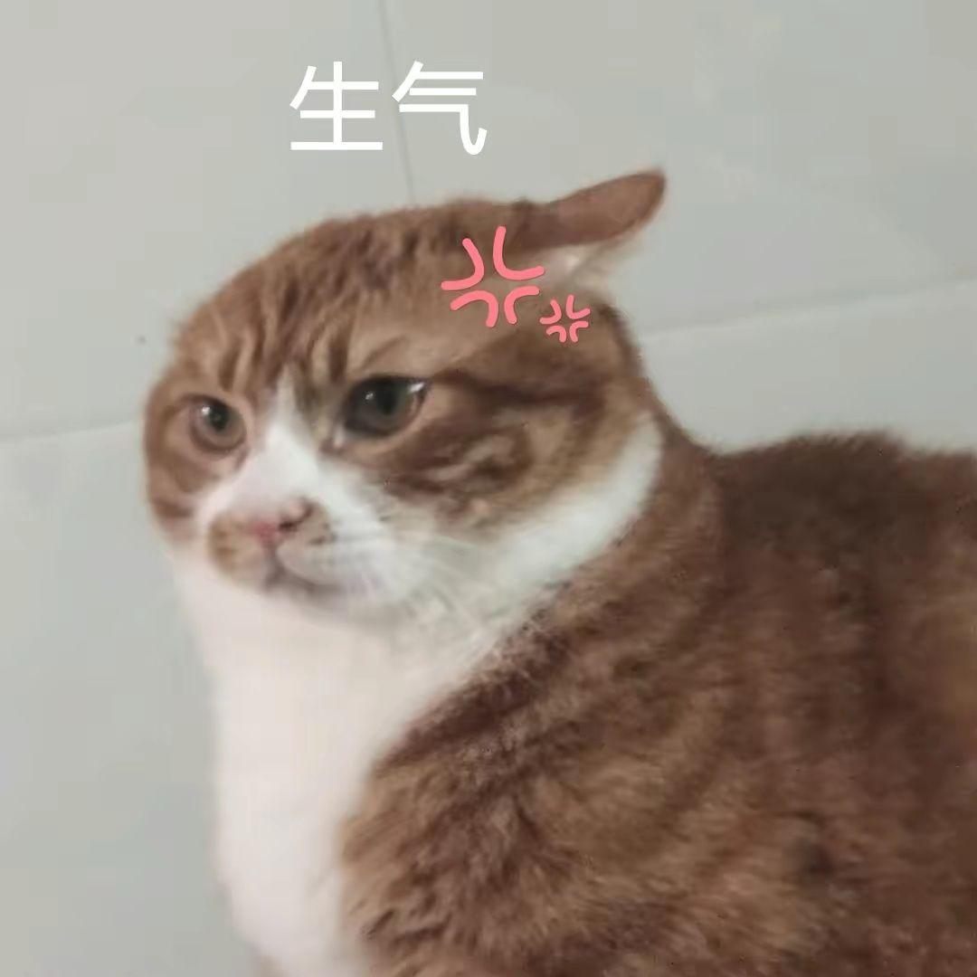 凯迪拉克CT5 我月薪两万存款也不敢去提CT5。。因为家底薄，老家农村的，买房结婚也都得靠自己