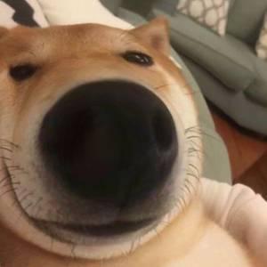 凯迪拉克CT5 存款一万 月薪一万左右想贷款拿下ct5 兄弟们有没有好点的建议