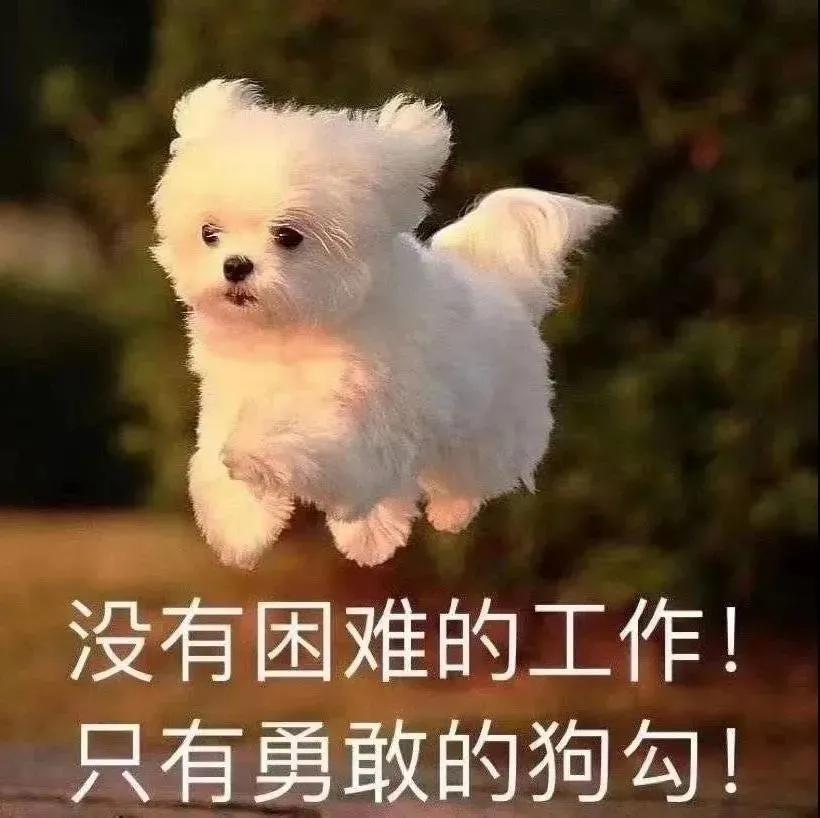 领克03 各位大哥，南京03 2.0t pro啥行情啊，多少能落地？