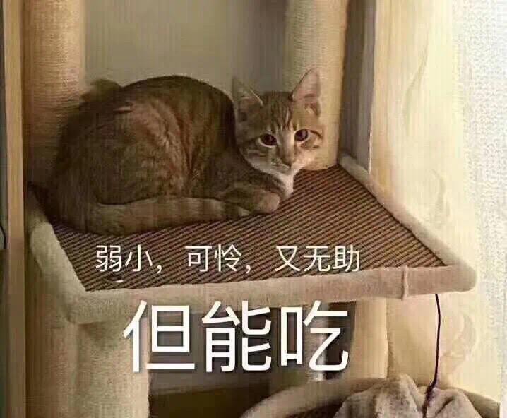 领克03 最近想买03 2.0pro的，坐标青岛，有没有大神说说什么价格呀