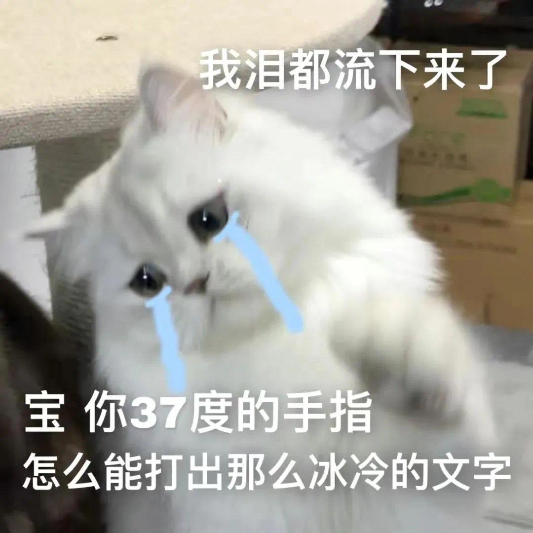 凯迪拉克CT5 本人 没有房贷 月薪8500，首付10能不能拿下
