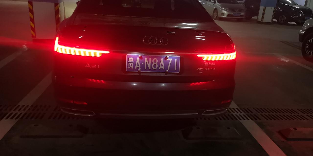 奥迪A6L 这个雾灯只有左边一颗吗？