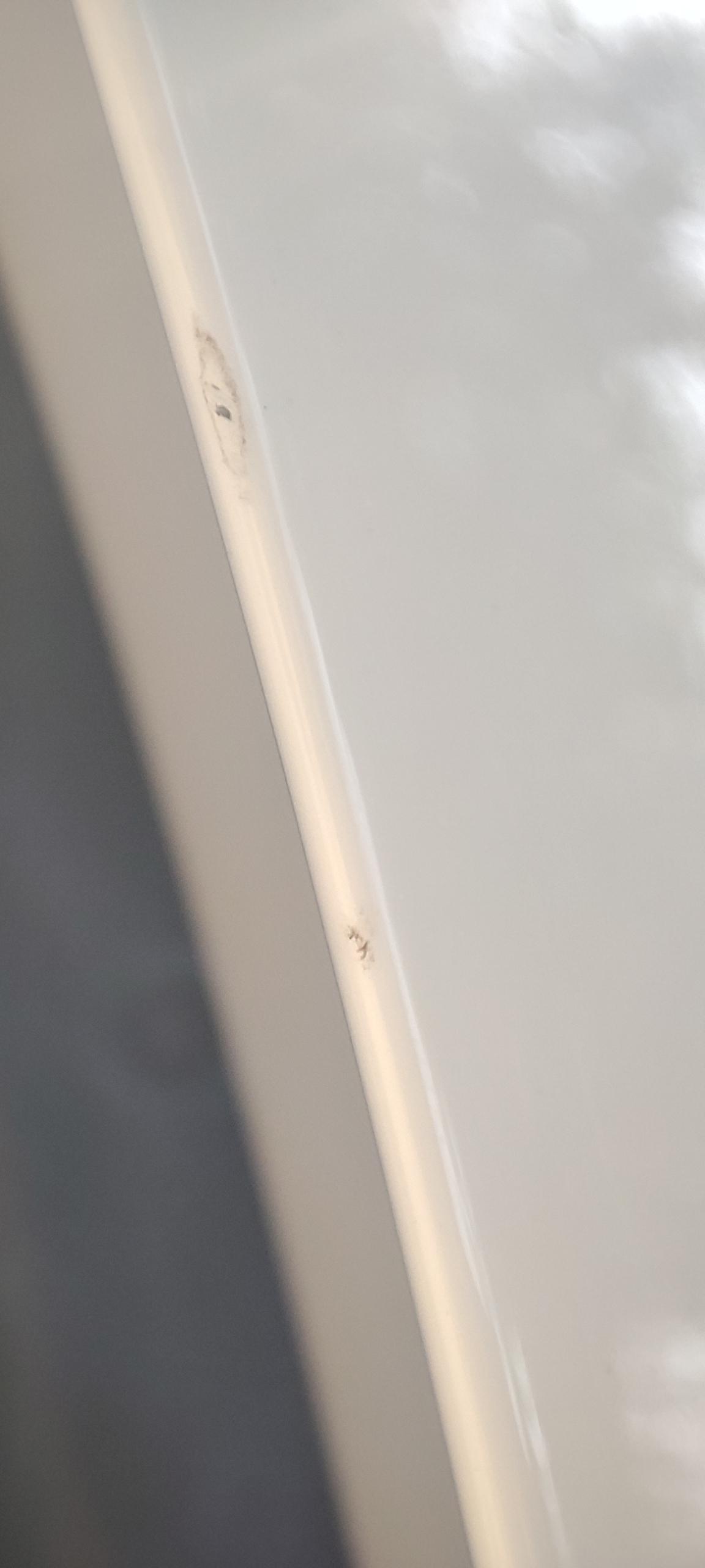 大众宝来 大哥们，车门边边磕掉一点漆，用得着去4s店补嘛。还是用个补漆笔