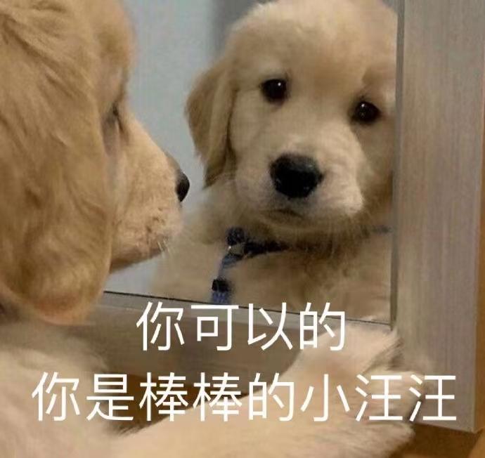 奥迪A6L 想向各位老板，尊贵的奥迪A6车主提个问题，在二手车市场买一辆19年到20年的车，跟婚车车队靠谱吗，能把日常维