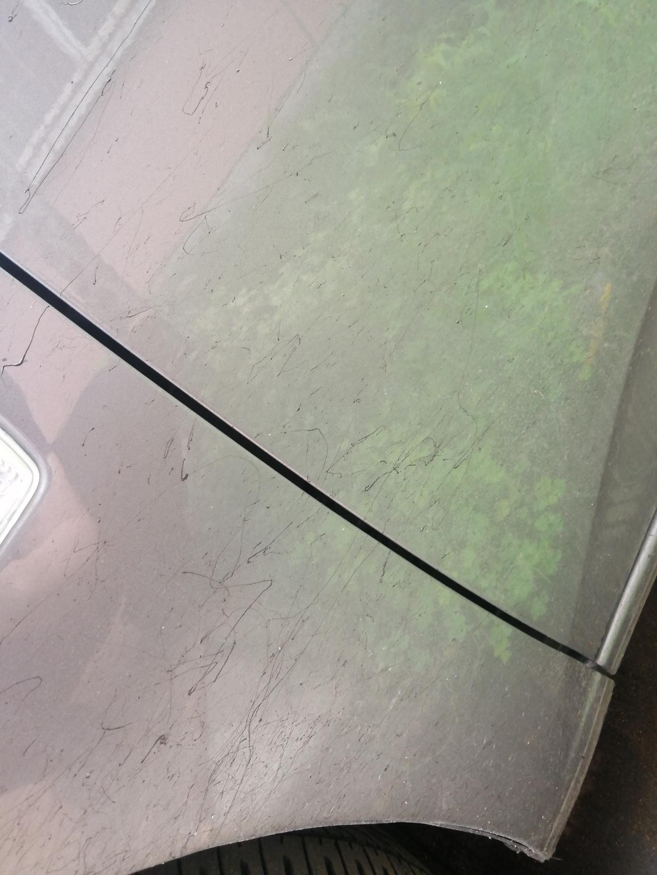 雪佛兰科鲁泽 兄弟们，路上不小心溅到柏油怎么整？