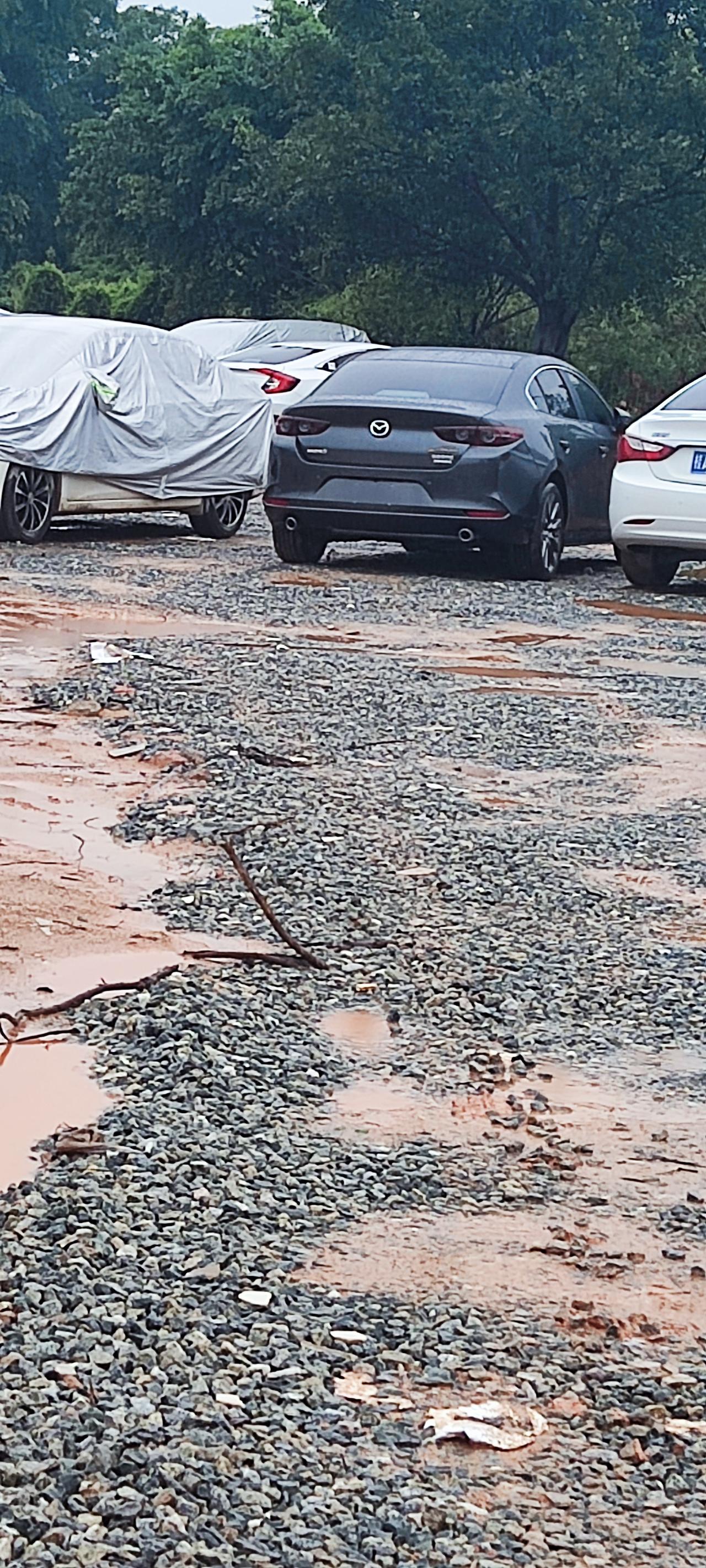 马自达3 昂克赛拉 车友们用的什么脚垫跟坐垫啊下雨天车内好脏啊