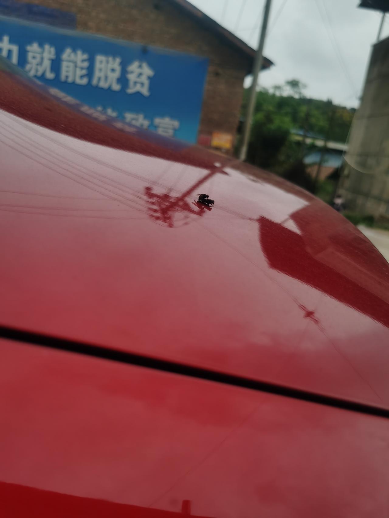 马自达3 昂克赛拉 副驾驶门有滋滋声，车友们你们的呢，，9/15提车目前3600公里，  先说满意的地方吧 油耗6.2 