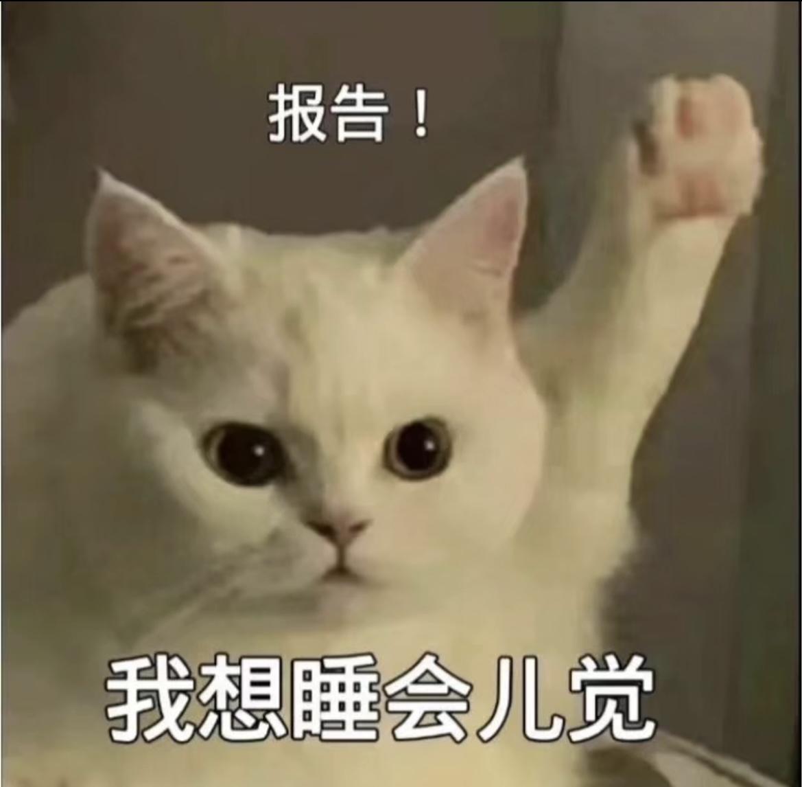 马自达3 昂克赛拉 兄弟们  今天订车了  质雅灰色加明选   全款 优惠一万四  保险自己买 出库费500 买贵了吗 