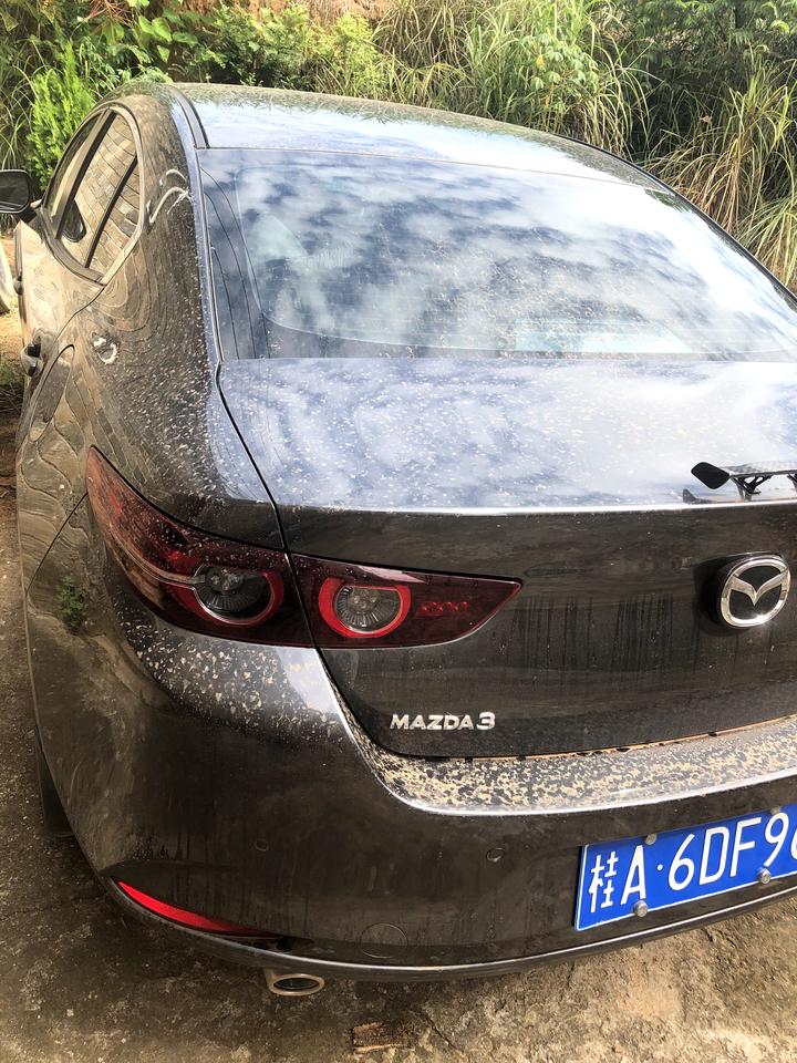 马自达3 昂克赛拉 我的铂钢灰跟你们的怎么不太一样？