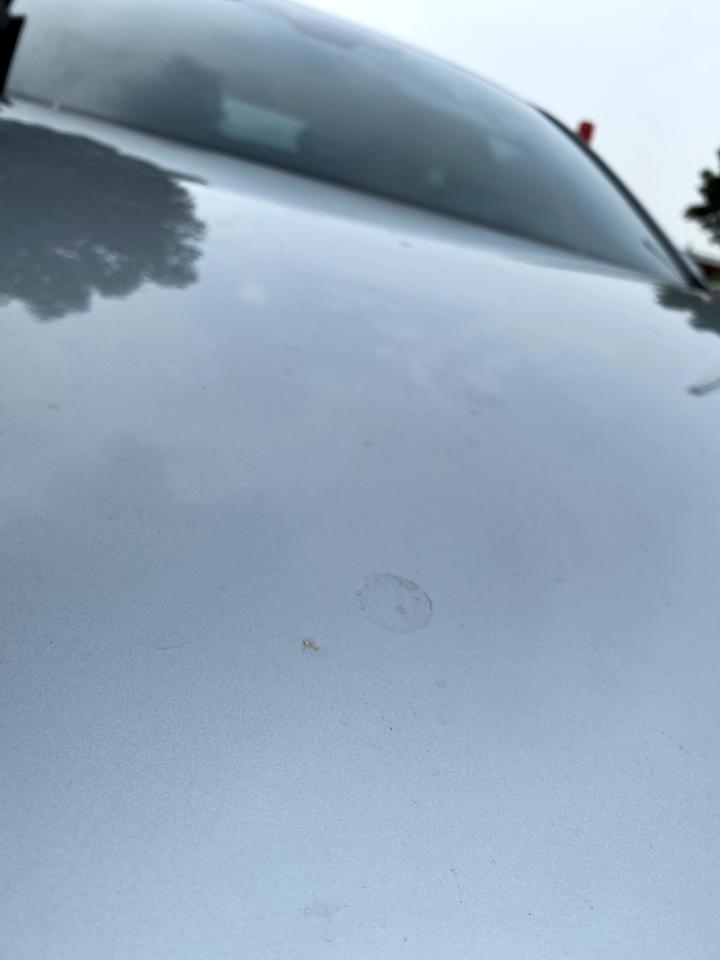 马自达3 昂克赛拉 月初提的银马三，洗车后老是会出现这样类似锈迹的印，问问大家会出现这样的情况嘛