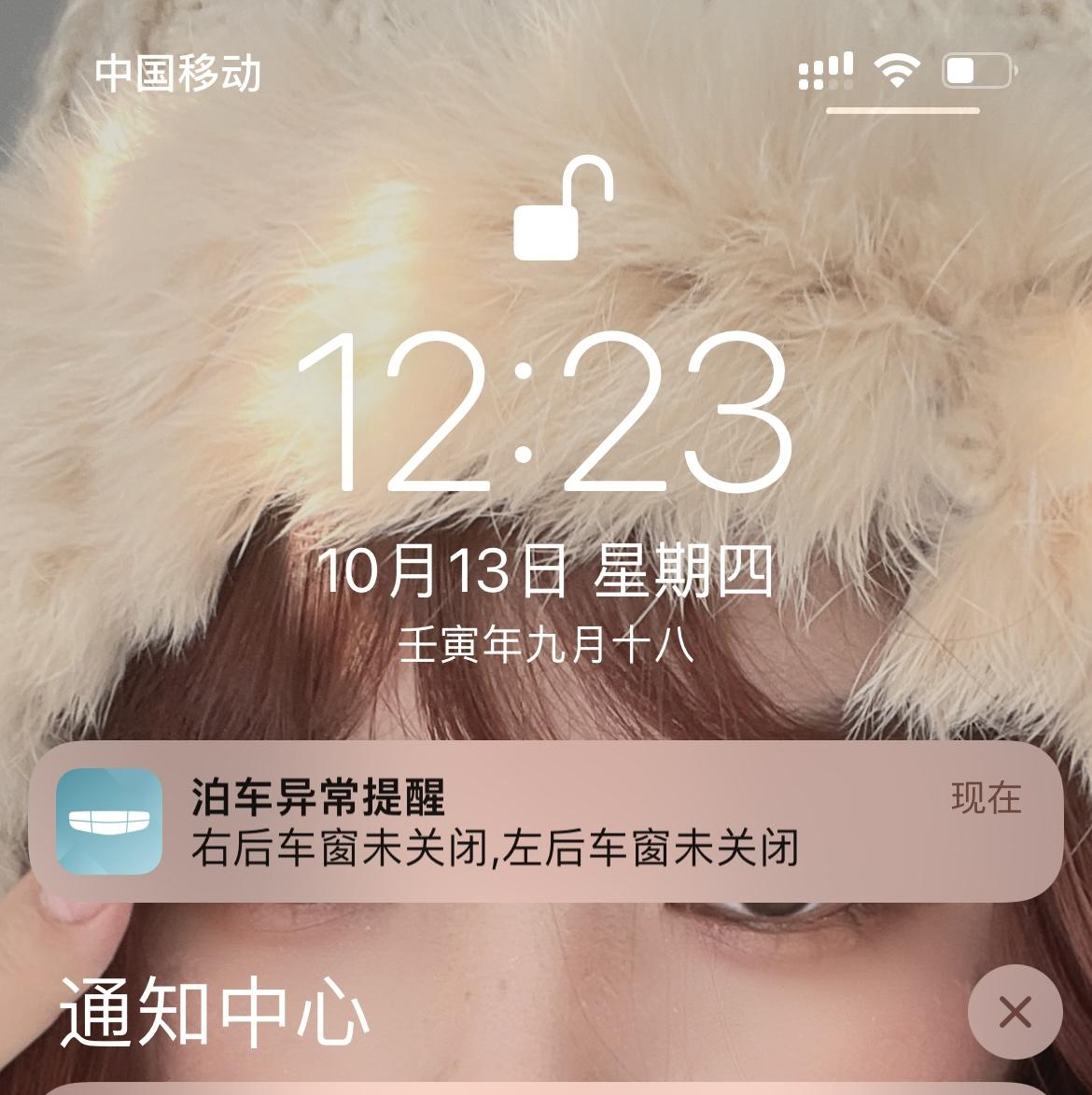 吉利缤越 吉利app一点用都没吧，远程连关个车窗都不行……