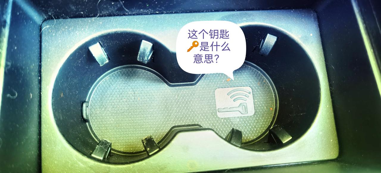 唐DMI尊荣型，有谁知道这是什么意思？