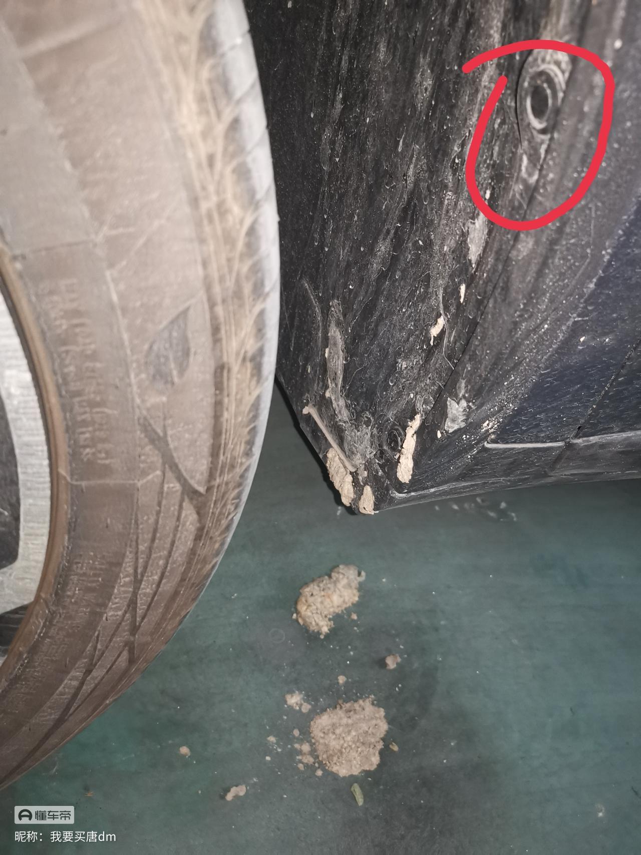 比亚迪唐DM 有装过挡泥板的车主吗，红色的这颗东西怎么弄下来？