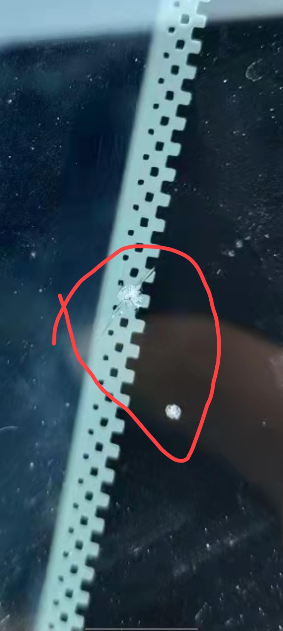 吉利缤越 石子崩了，需要换玻璃吗？问了一家做修复的说是没法放修复工具，修复不了？