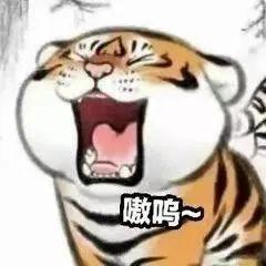 小鹏小鹏P7 问下鹏友们，前年逾期一次未超过90天，无贷款，多卡额度80%车贷会卡吗有点慌