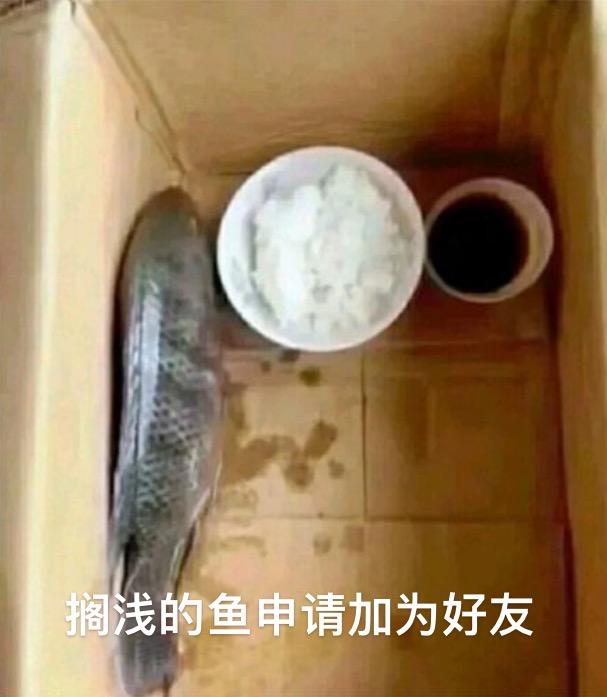 捷豹XEL 等车中，销售回复车辆已分在本月管道内，是什么意思？本月可以提车的意思吗？