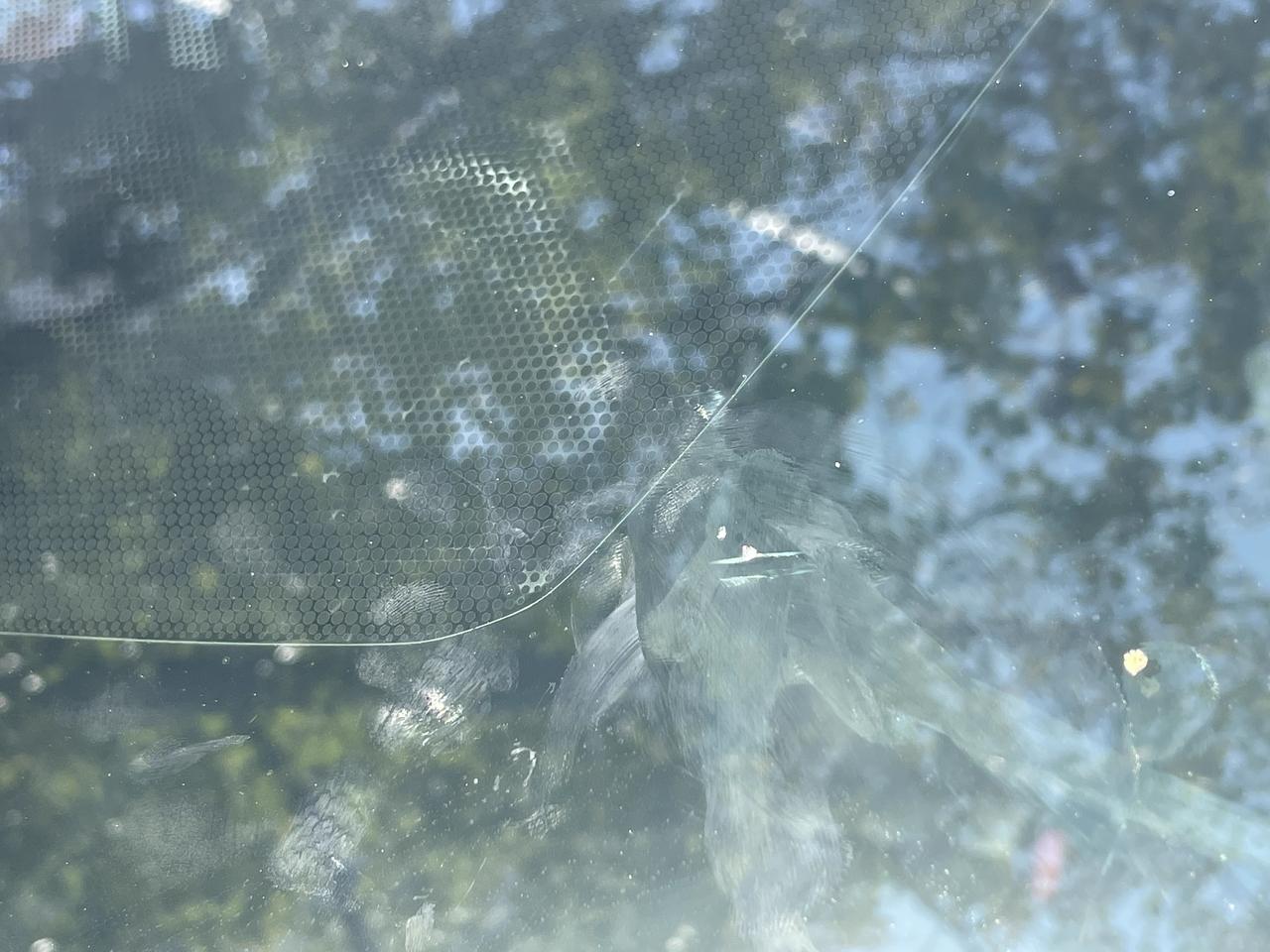 日产轩逸 突然开着车发现这个，是石头蹦的么，需要修复还是不影响