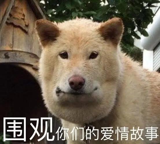 想问问各位大神最近准备入手星越L是选择两驱顶配版本好一些还是四驱低配版本好一些住家就在市区 基本上就是城市用车很少去乡下