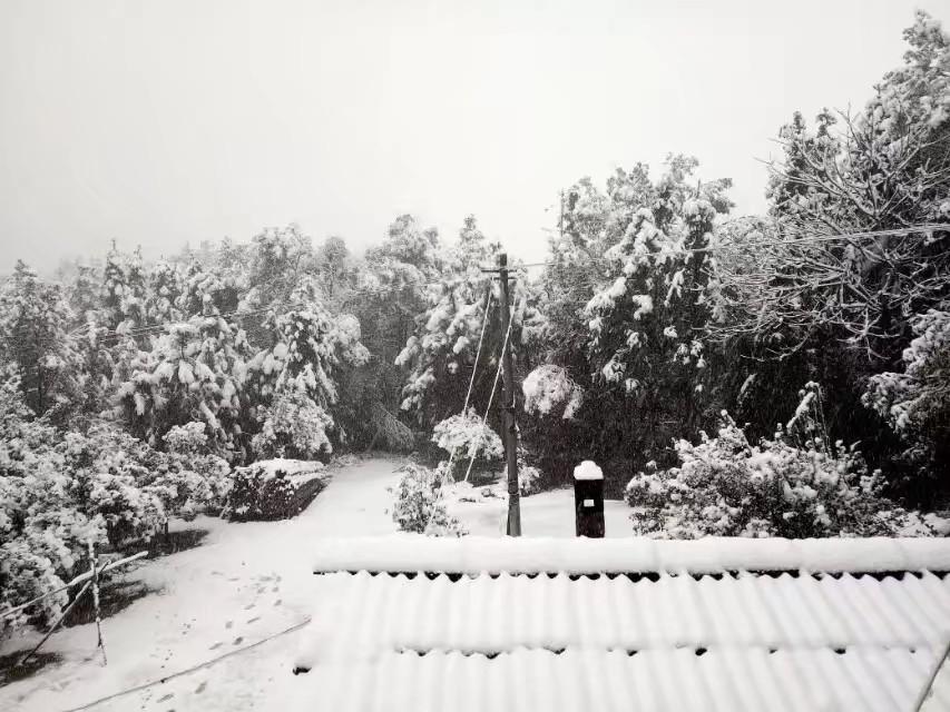 长安CS75 PLUS 求大佬告知，长安在江西的生产基地在江西哪里，怎么百度查不到的我要去长安打工