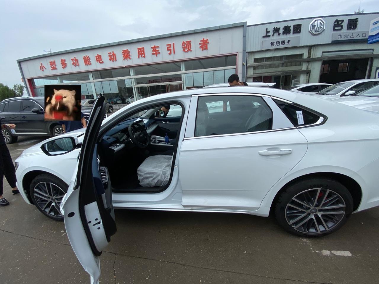 吉利星瑞 刚提车，白色的，请问这后面吉利汽车四个字能不能拆掉呀