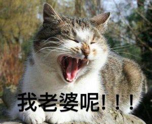 哈弗H6 h6国潮版1.5gdit自动冠军版啥价了?有没有江西上饶或南昌的车友买了，我想买但怕买亏了。