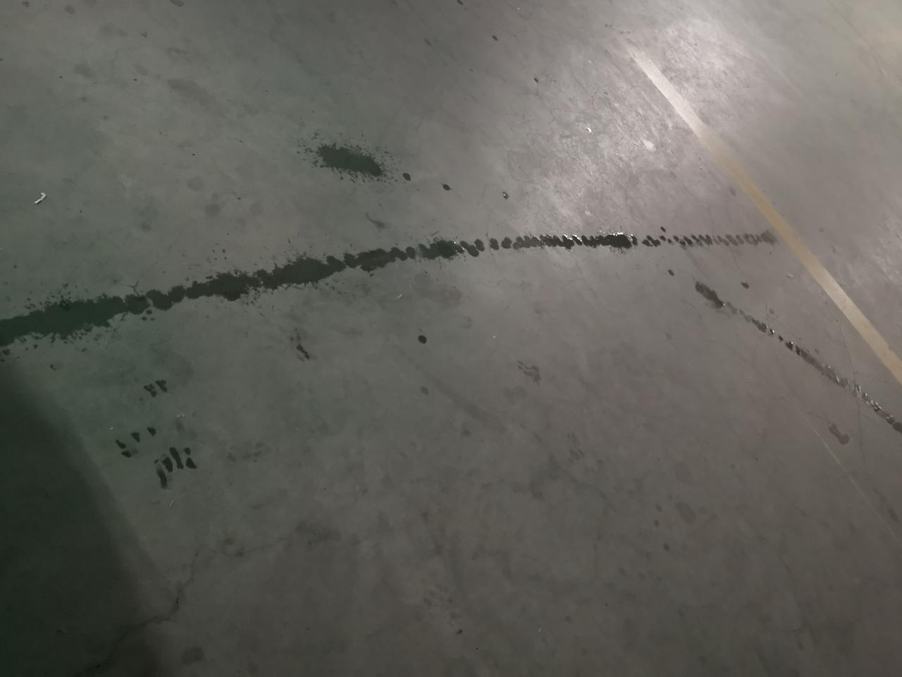 为什么我的缤智倒车的时候老是有水  大家有吗