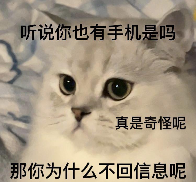 奥迪Q5L 大家平常时段买的40T 豪华动感落地什么价啊，有现车但是怕过年前涨价买贵了，现在给我的报价落地39，是可以下