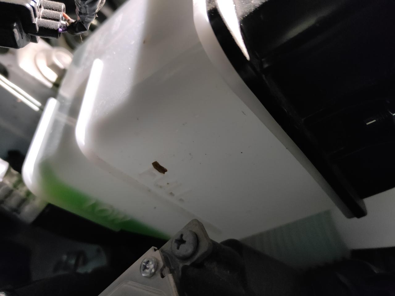 马自达3 昂克赛拉 帮我看看是不是正常的，新车半年4000公里