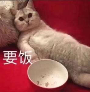 星途追风 关注星途1年了。。。这车适合暴力驾驶不？开老车at惯坏了，经常地板油五六千转起步啥的。双离合这样猛踹油容易出问