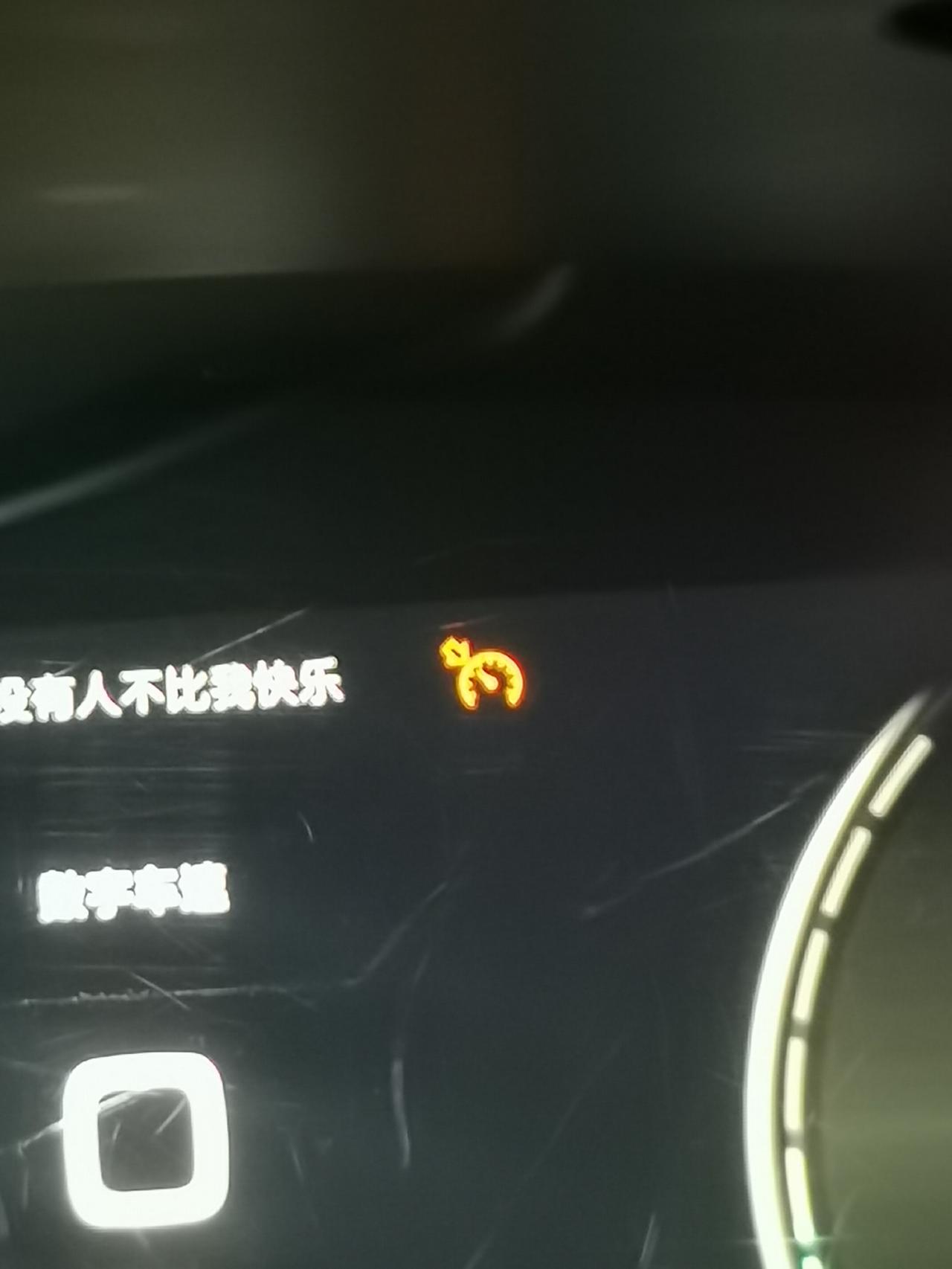 荣威RX5 兄弟们，这个是啥指示灯啊