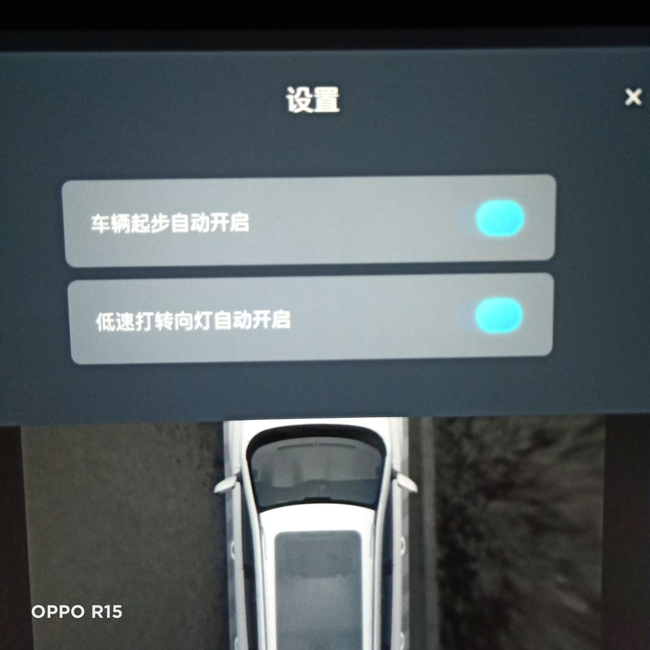 荣威RX5 我的车有360.设置都打开了，但启动后低速行车，打转向不显示此功能，我就是想知道这款车都不显示，还是我的坏了