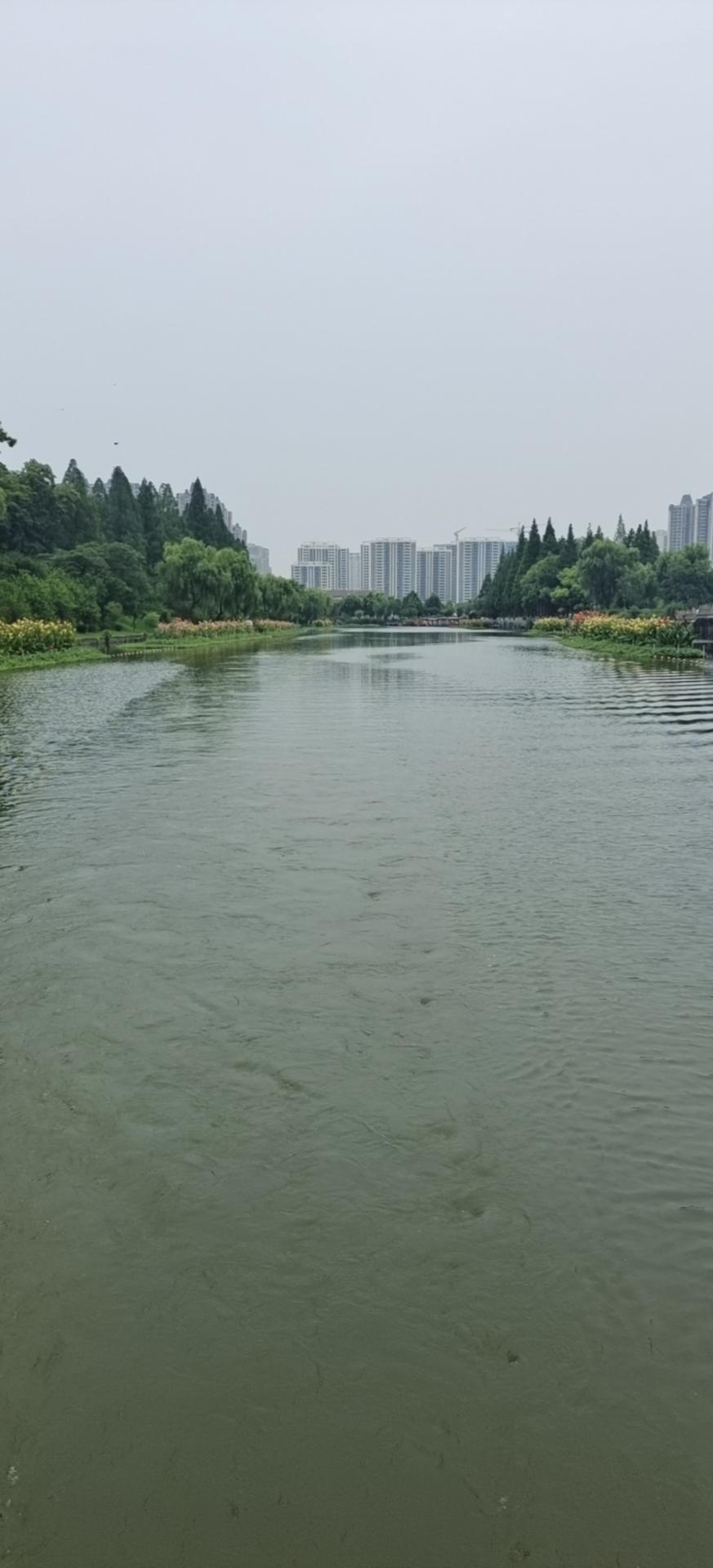 AITO问界M5 想给M5装一个车顶行李架，太晒了。有哪位大佬合适推荐！脚吹的冷死了，头热懵了！