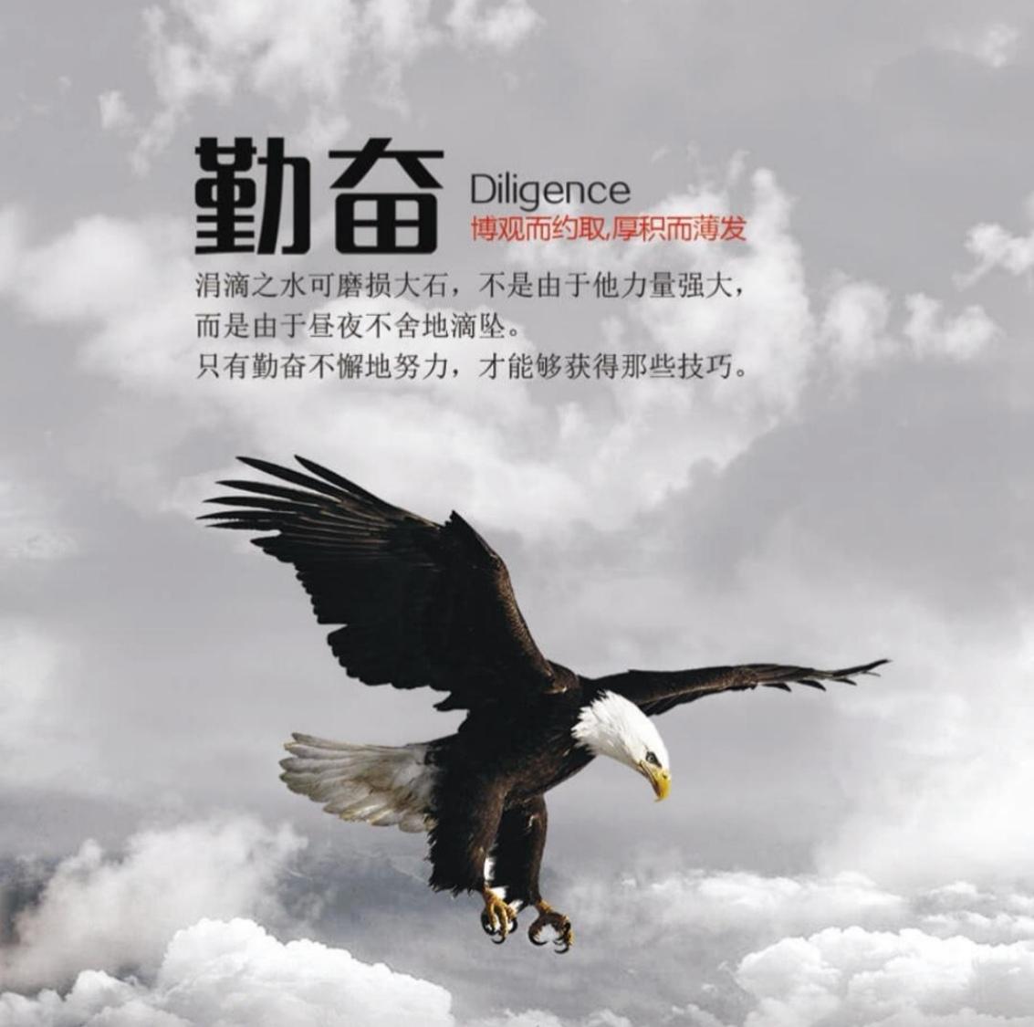 请教下各位豪越黑金限定版得价格多钱？全款14w能下来吗？