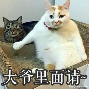 哈弗H6S 兄弟们，，我2.0悦跑，贷6个36期免息，14.82个落地；送太阳膜，脚垫，行车记录仪，500油卡；请问这个