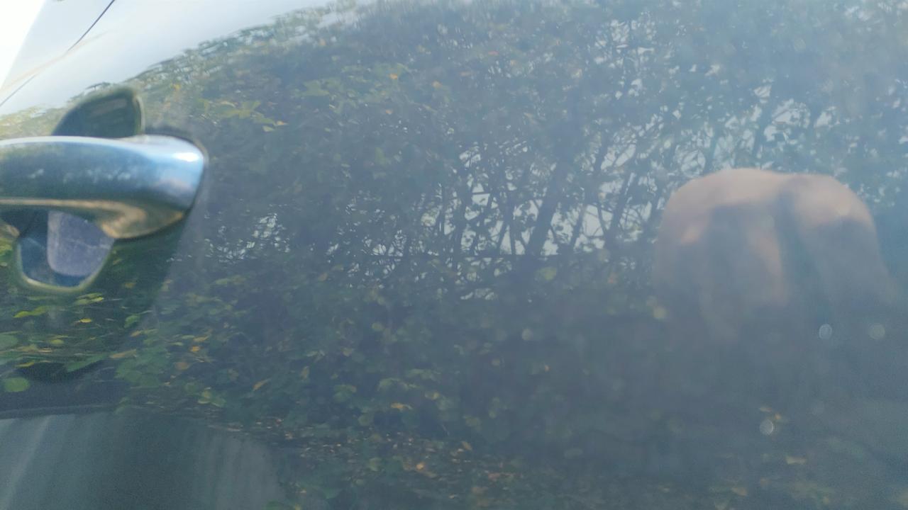 福特锐际 右后车门漆面轻微划伤，反光可见，能用牙膏修补吗？