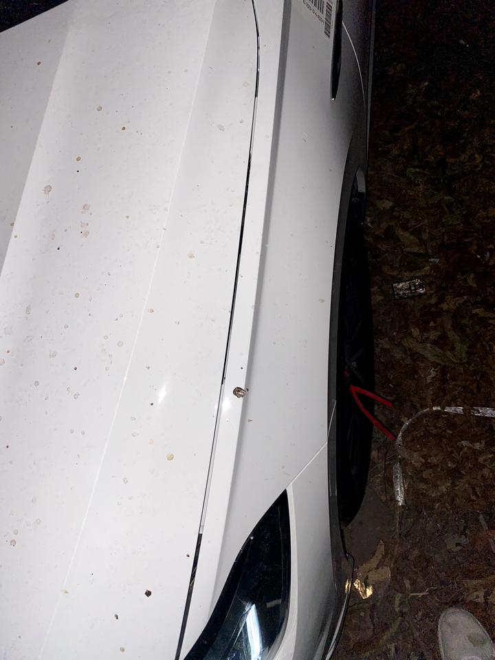 大众速腾 我怎么感觉我买了辆不好的车，1.安全带卡扣弹不出来，2.我的4个车门感觉每个开门的手感都不一样，3.机盖缝隙怎