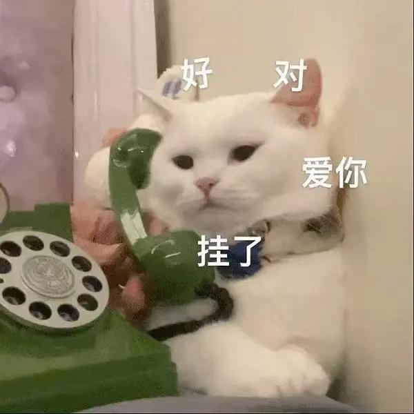 长安UNI-V 有没有天津的大哥，本人外地仔，过一阵来天津上班，想买V，上区域牌，前一阵看新政策说不需要居住证就可以买车