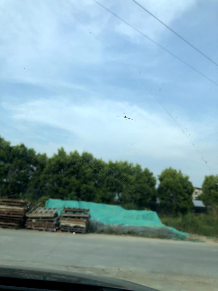 大众迈腾 前挡玻璃两处，兄弟们支个招。前天夜里一个人在高速行驶时被前方右侧的大货车飞来的石子打了两次，每次好几个石子。今