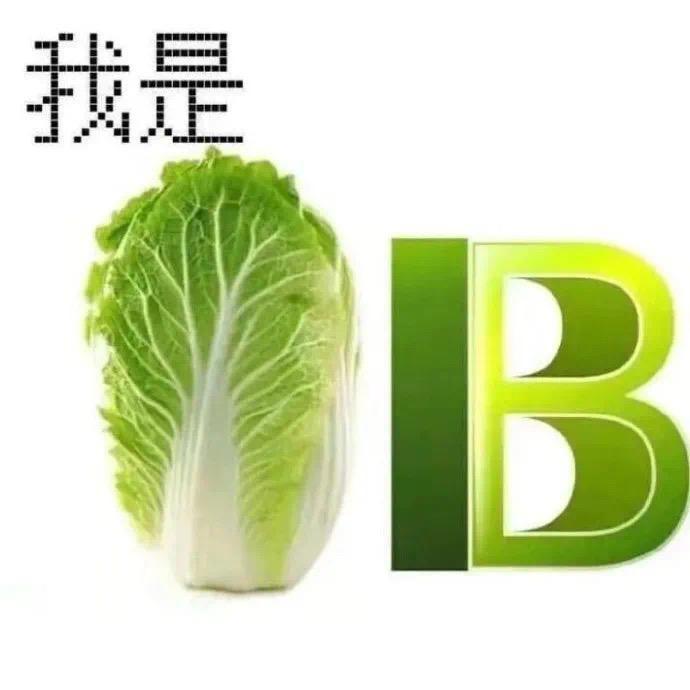 迈腾330跟标志508怎么选各位给点意见