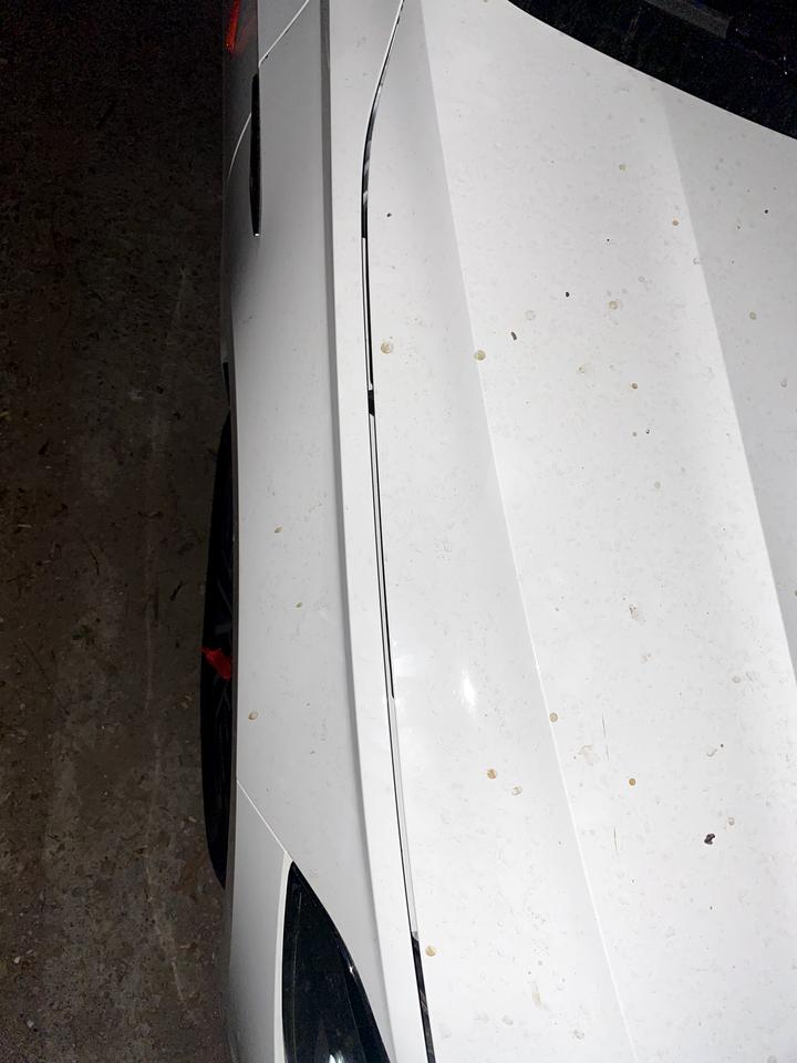 大众速腾 我怎么感觉我买了辆不好的车，1.安全带卡扣弹不出来，2.我的4个车门感觉每个开门的手感都不一样，3.机盖缝隙怎