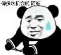 广汽传祺影豹 豹子能不能来个7w三年免息喔
