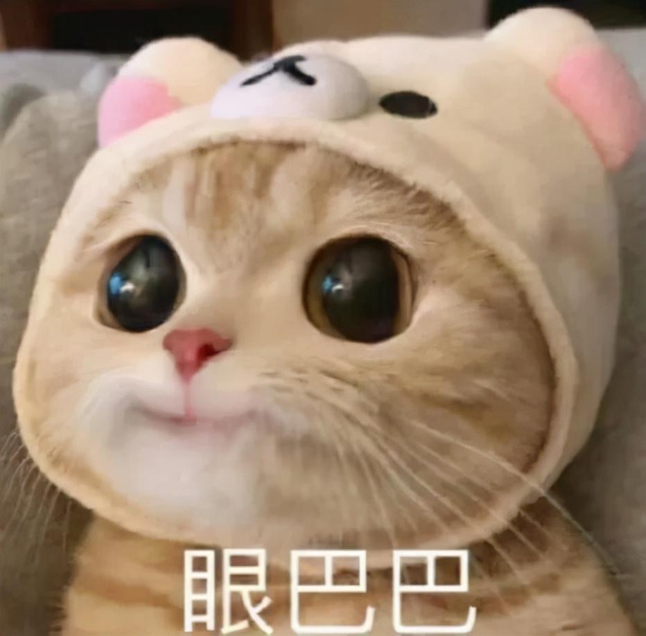 广汽传祺影豹 官方能出个原厂一阶么，实在不行标个两千块卖卖程序也行啊，刷个一阶说不定真跑到6.9，这样厂家既挣钱，爱玩的