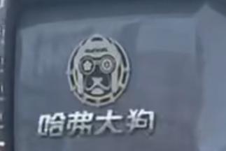 哈弗大狗 各位狗友大家好！车尾的狗头标从哪里能买到一模一样的，求告知！