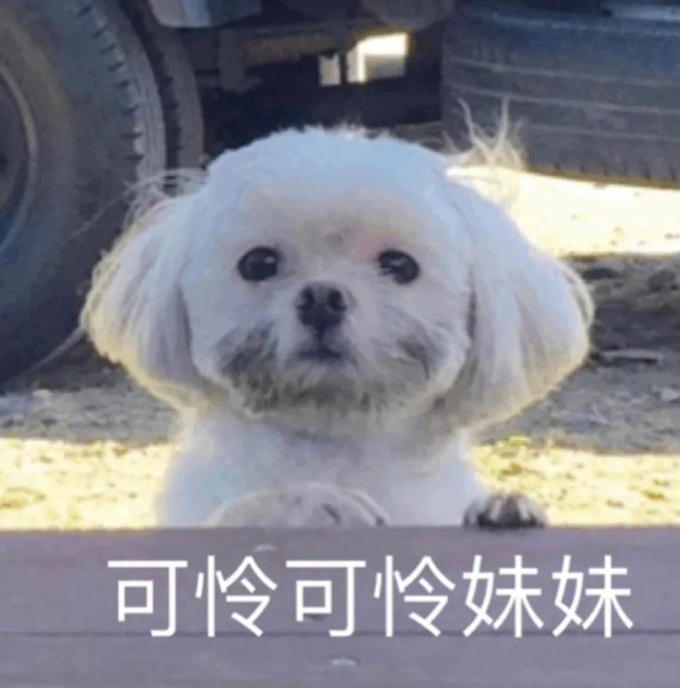 MINI 21.5W落地价，买20款minione五门版 咋样 感觉优惠有点少 之后会有活动优惠吗 QAQ