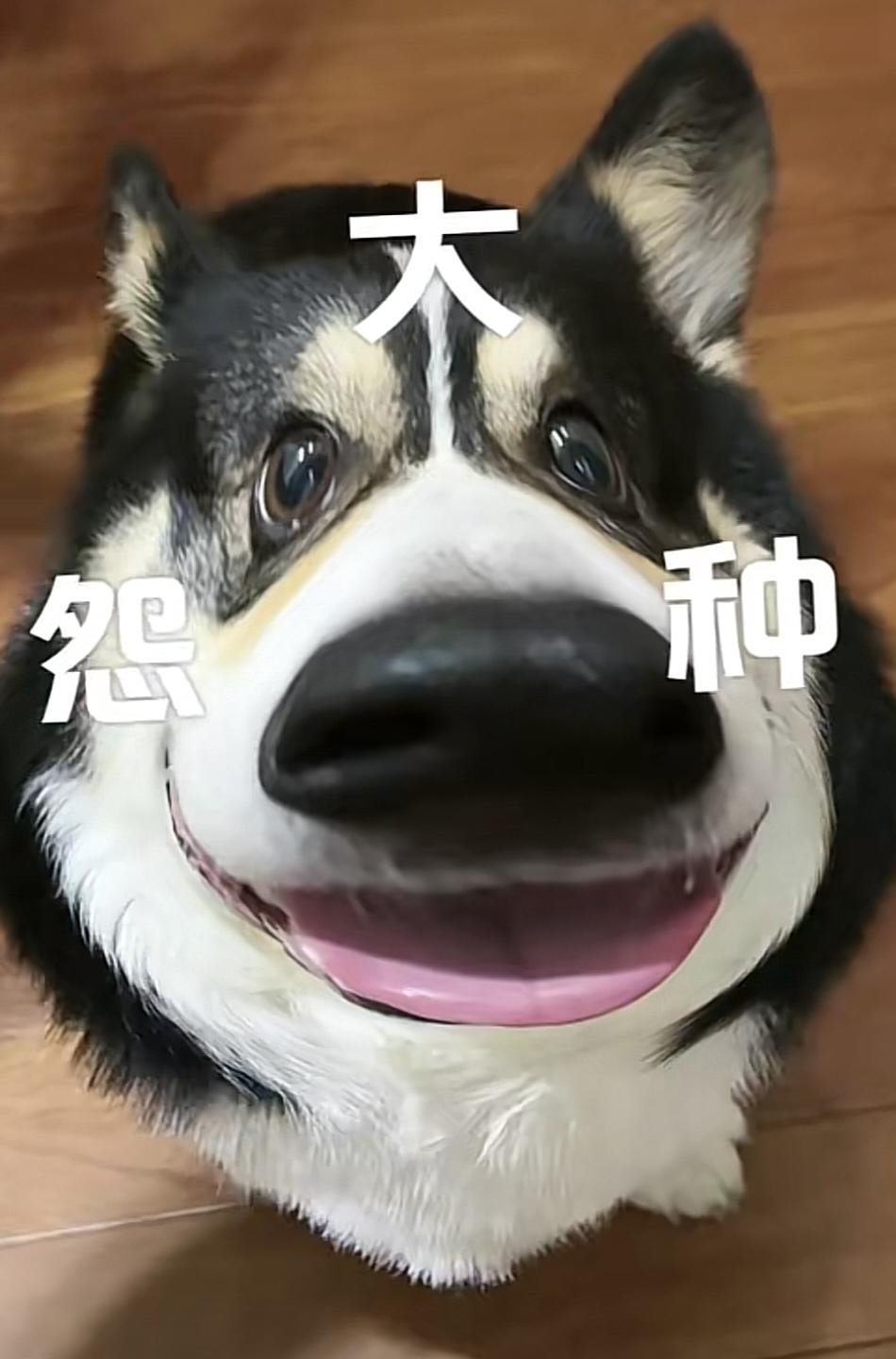 雷克萨斯ES 这次22款改款，21款刚刚提车的车主们，雷克萨斯这做法太恶心了，我希望咱们车主们多打打厂家电话。我希望的诉
