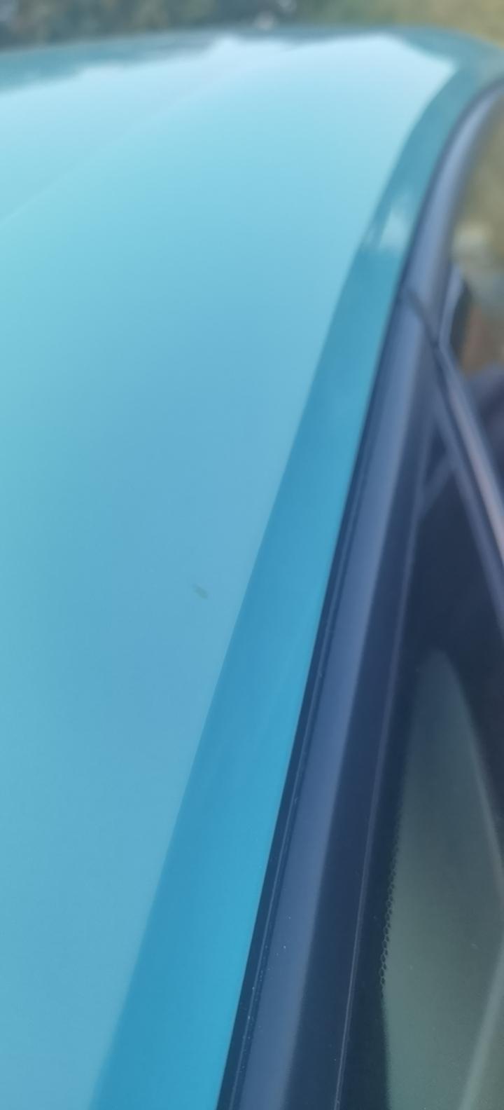 求助：型格翡绚蓝车漆染色新买的车，遇到如图一这样的黄色小点点，一天没洗，阳光下就渗入了，请问有车主遇到相同问题吗？有车友