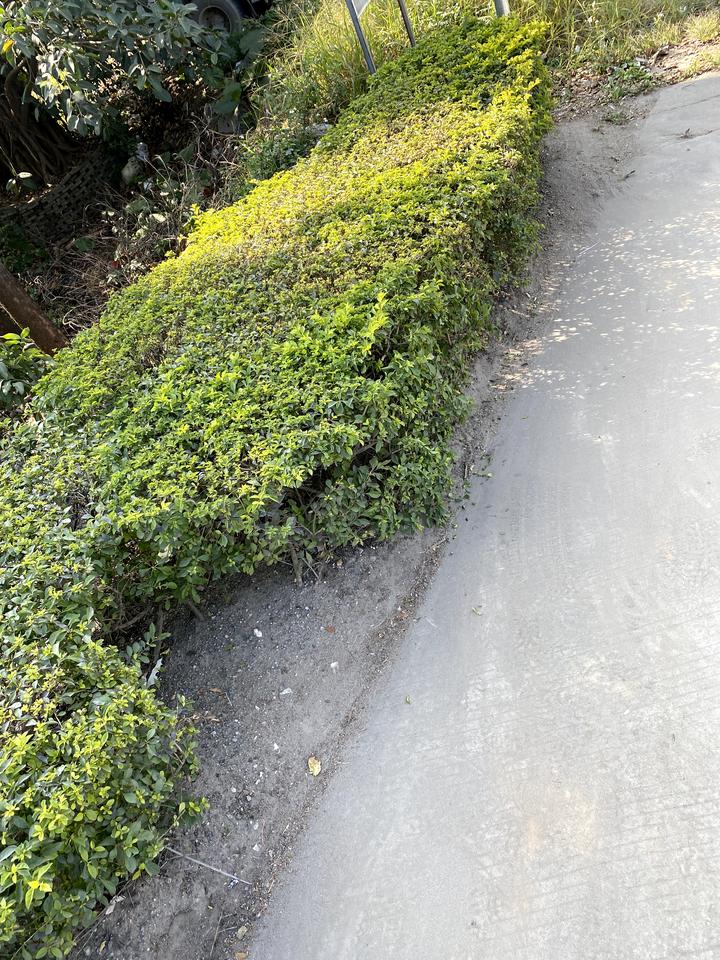 长安欧尚X5 求问我这划痕是撞上花坛划到的吗？今天转弯位置不够侧边撞上了花坛，下车一看好几处划痕，真的好难受啊，按理说轮