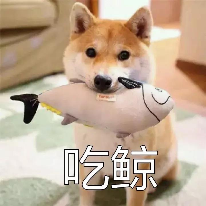 比亚迪e2 车友们有更换主驾驶座椅的吗？坐着总是感觉不是很舒服，想更换一个，大家有没有好的建议？