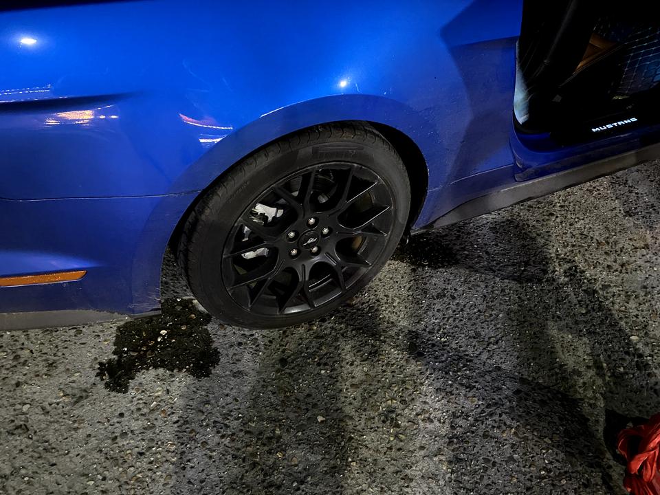 福特Mustang 刚体的新车 发现用车完 停车轮胎两侧都滴水 是野马的排水本来就是走的后轮两侧还是什么原因啊 求大神解